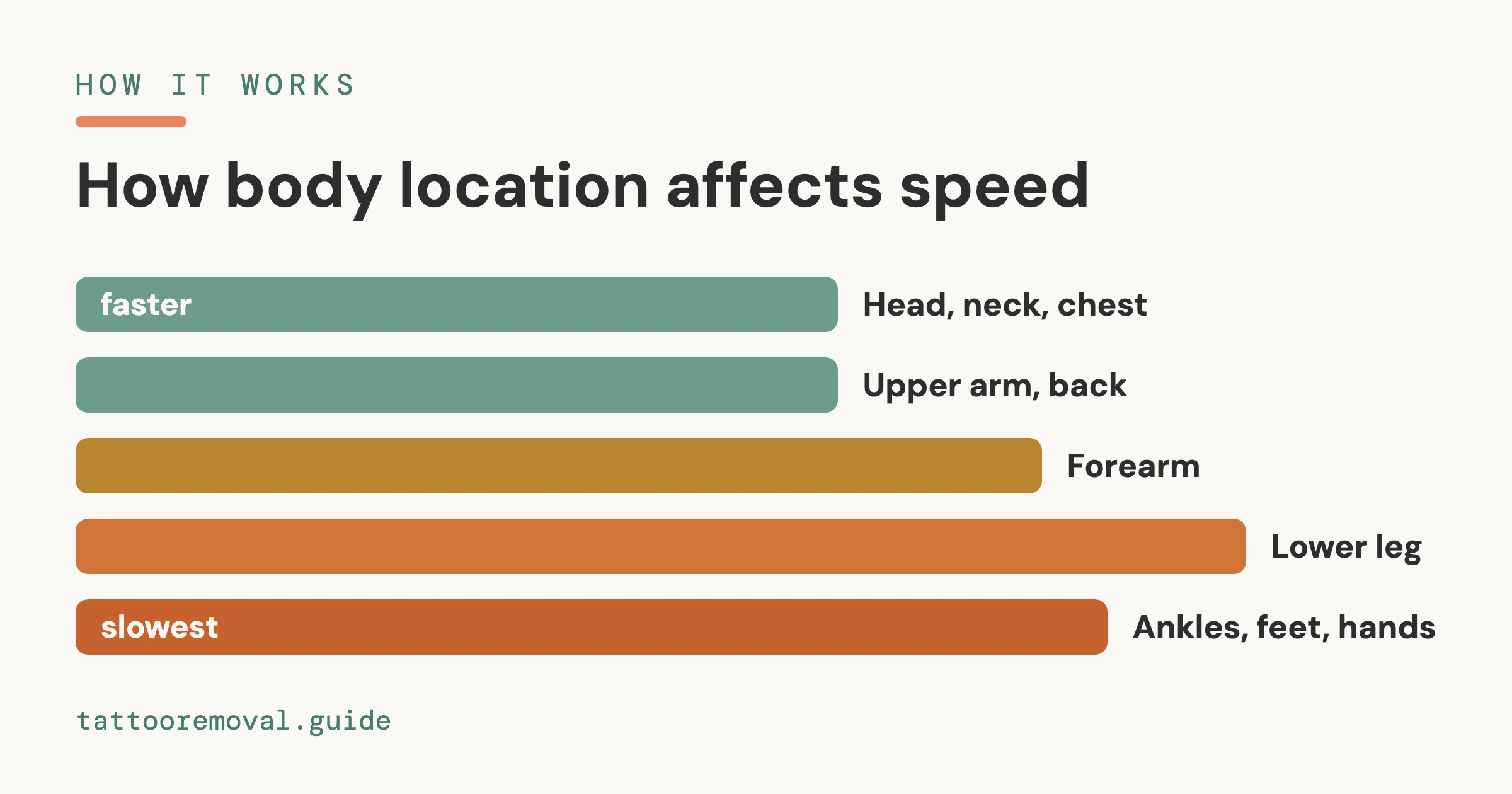 Tattoo Removal by Body Location: Which Areas Fade Fastest (2026) β an independent, data-backed guide from Tattoo Removal Guide